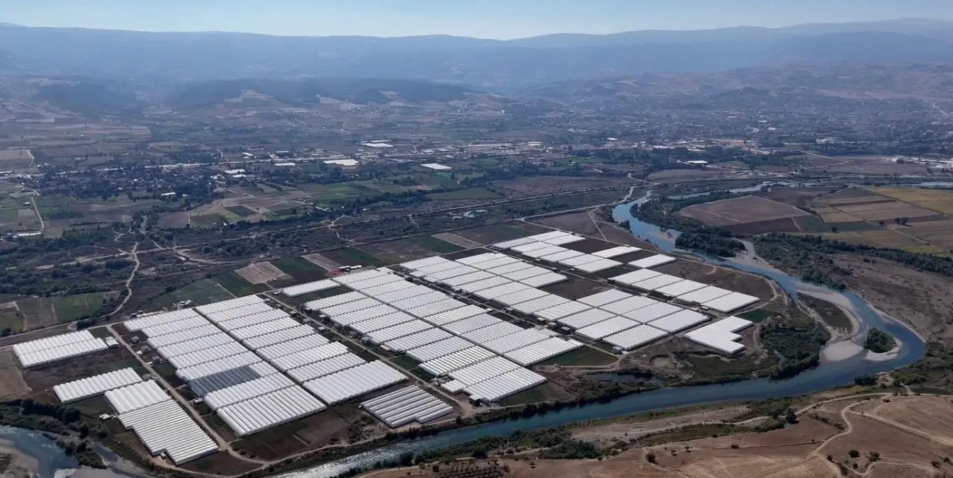 erbaada kesme cicek uretimi artiyor 4Fsai6EC