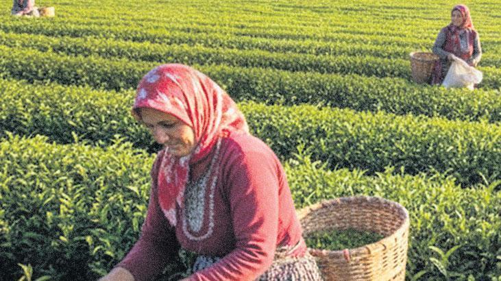 ciftci kadinlara ozel kredi veriyor 4zDJMDb7.jpg