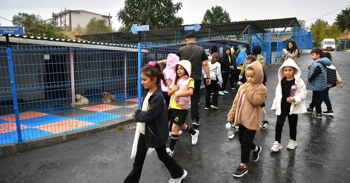 istanbul beylikduzunde ogrencilerden can dostlara anlamli ziyaret e1DLAJAh