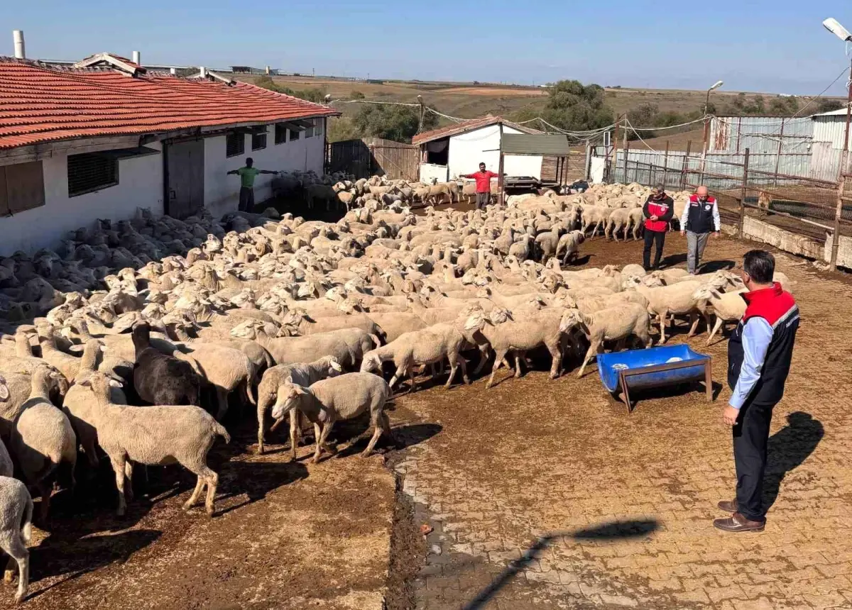 tekirdag tarim ve orman il muduru ciftcileri ziyaret etti m3KwBS4F.jpg