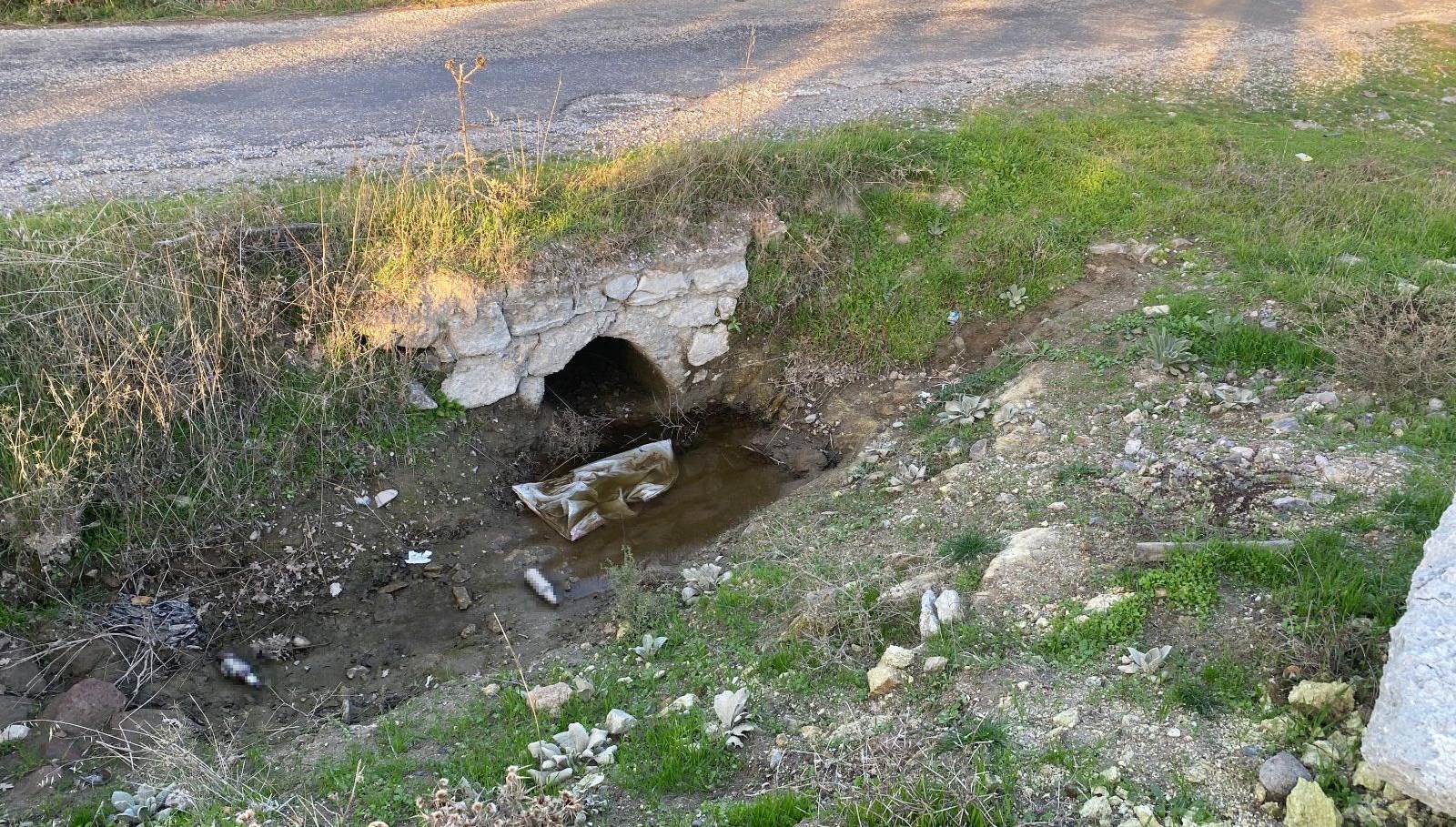 bos arazide yenidogan bebek cesedi bulundu HvM5AewU.jpg