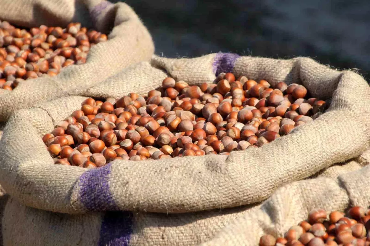 ferreronun findik manipulasyonu iddiasi QrllLsDi.jpg