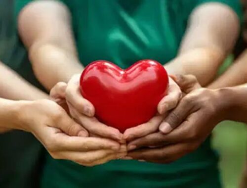 Bursa’da hayatını kaybeden aile hekiminin organları 5 hastaya umut oldu