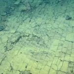 okyanusun-dibinde-yol-kesfettiler-ZcJ1hDVH