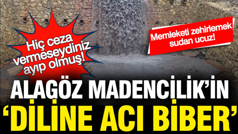 alagoz-madencilikin-diline-aci-biber-hic-ceza-vermeseydiniz-ayip-olmus-wVfei8NJ