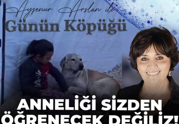 anneligi-sizden-ogrenecek-degiliz-YbRKQnwt